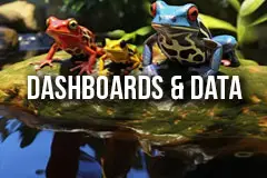 Data Setup and Dashboards