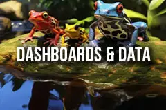 Data Setup and Dashboards - Advertising Data Work