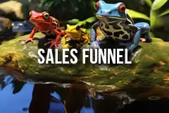 Analytics Sales Funnel