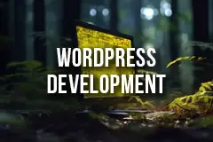 WordPress Content and eCommerce Development