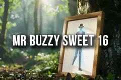 Mr Buzzy Sweet 16 Poster