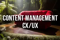 Content Development Use Cases