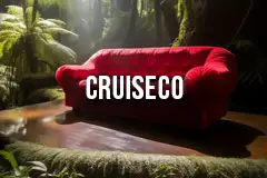 CruiseCo User Experience and Code