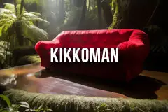 Kikkoman User Experience. Agency: Optimo